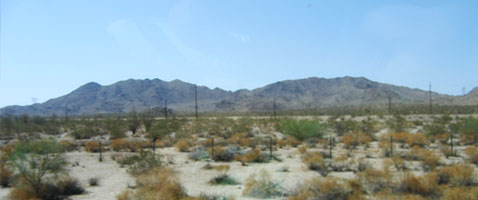 Arizona Dessert